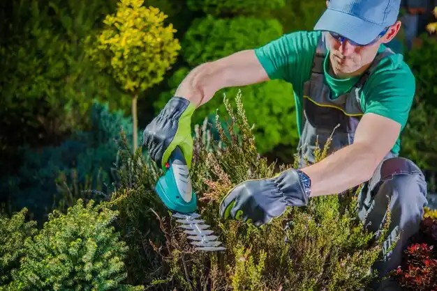 landscaping services Willoughby Hills